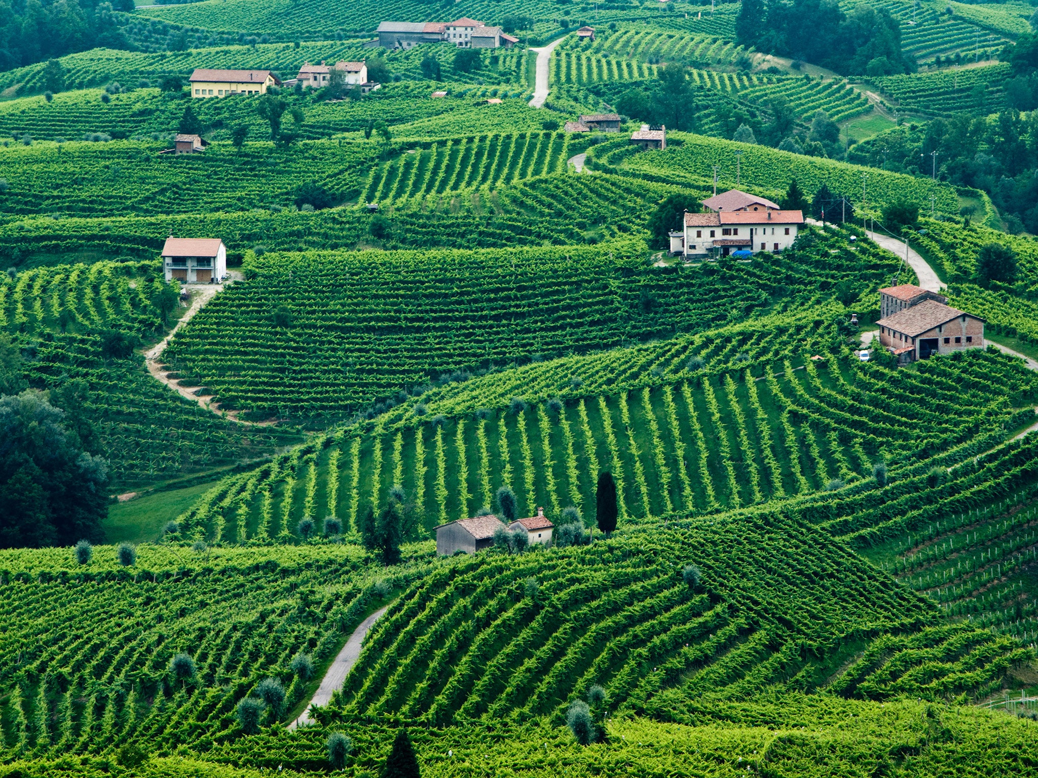 Valdobbiadene-italy-processo-vinyards-cr-alamy